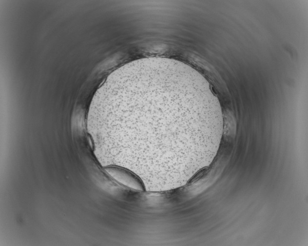 X0000110960287200907101334