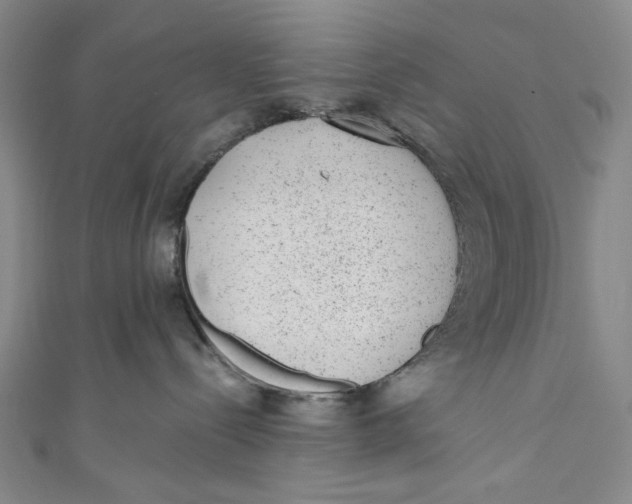 X0000110960288200907101334