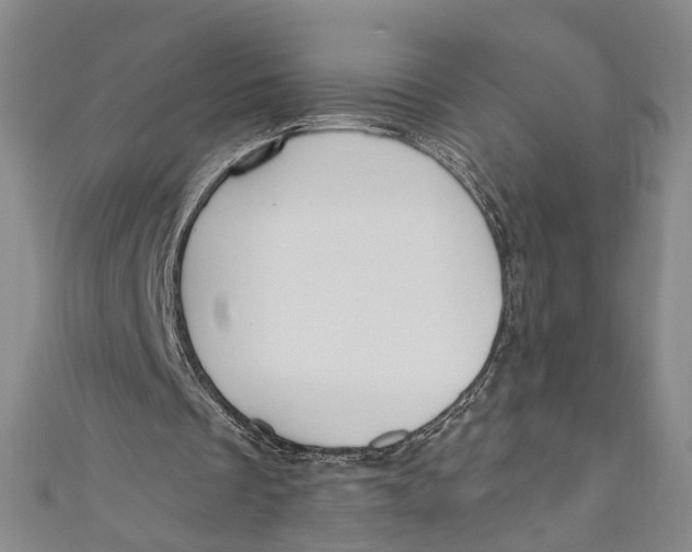 X0000110960289200907101333