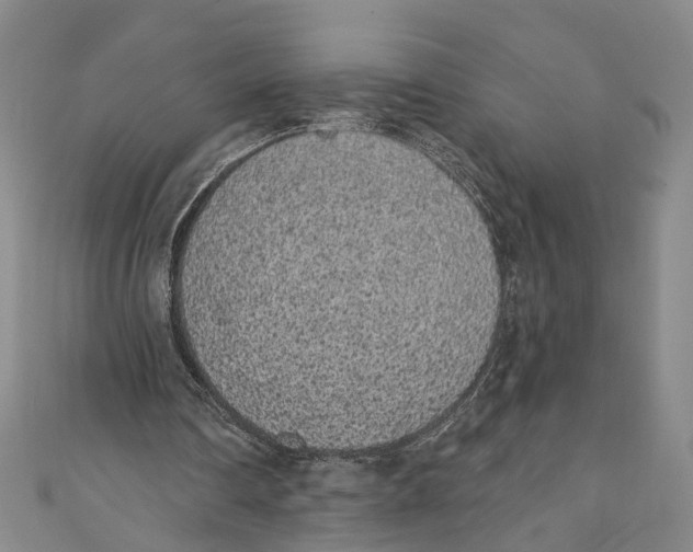 X0000110960290200907101333