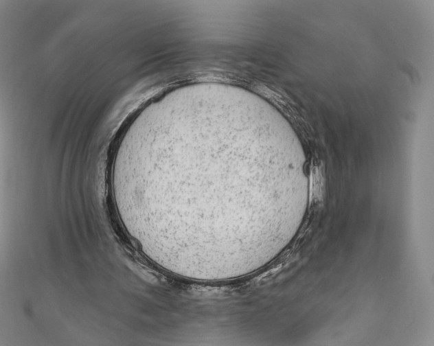 X0000110960291200907101333