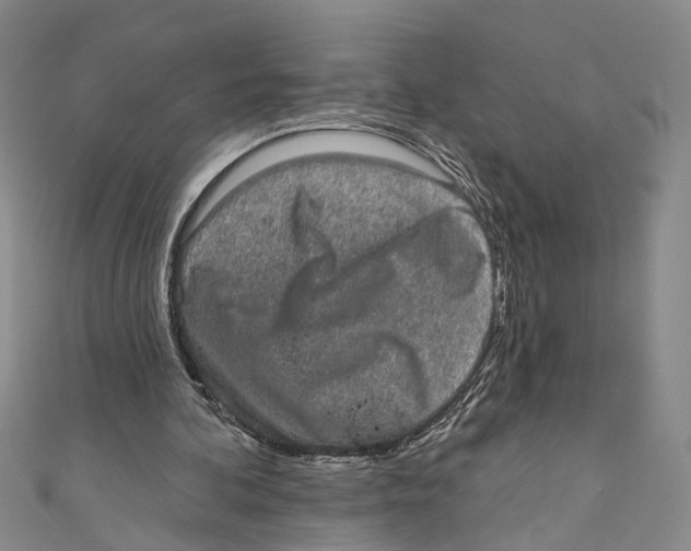 X0000110960292200907101333