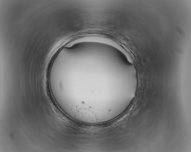 X0000110960293200907101333