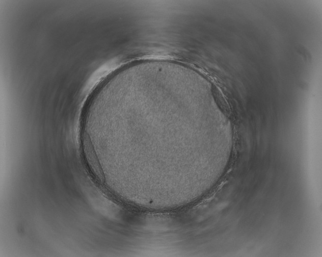 X0000110960296200907101333