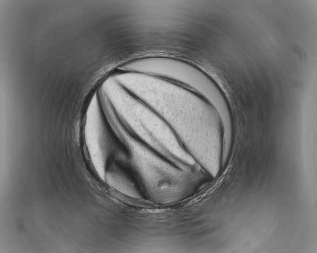 X0000110960297200907101333