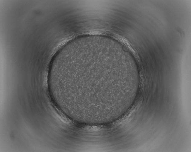 X0000110960299200907101333