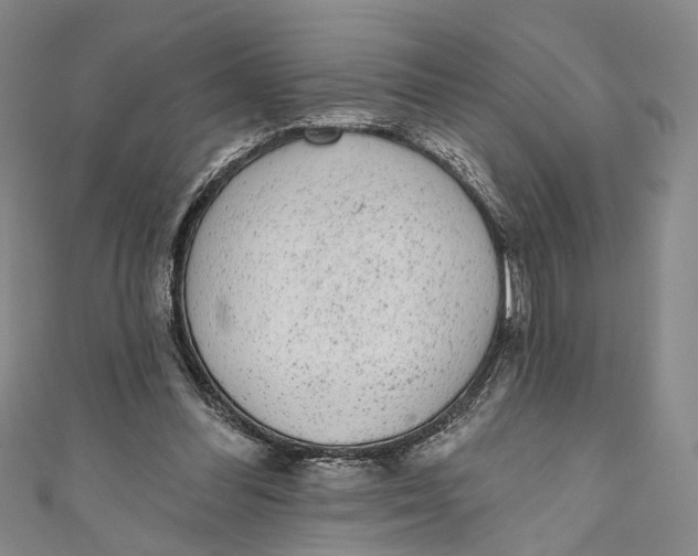 X0000110960300200907101333