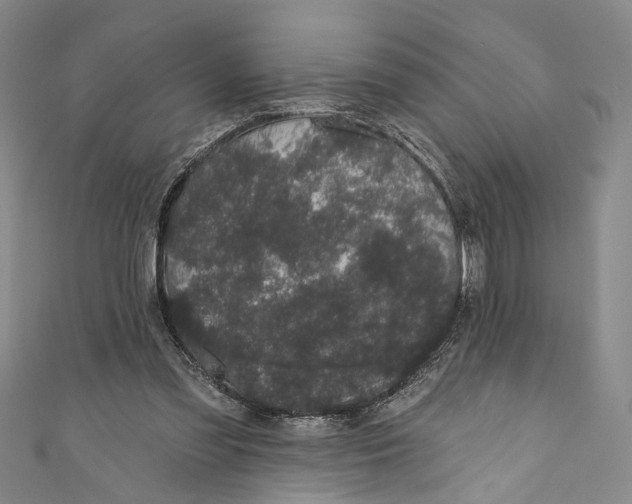 X0000110960301200907101333