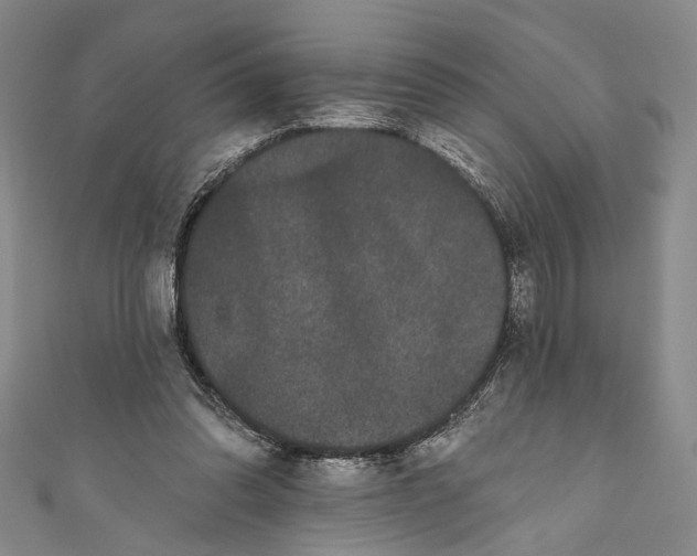 X0000110960302200907101333