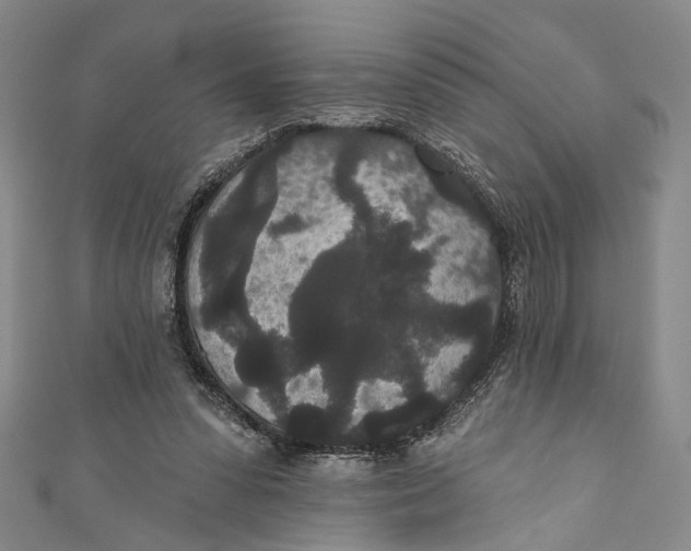 X0000110960303200907101333