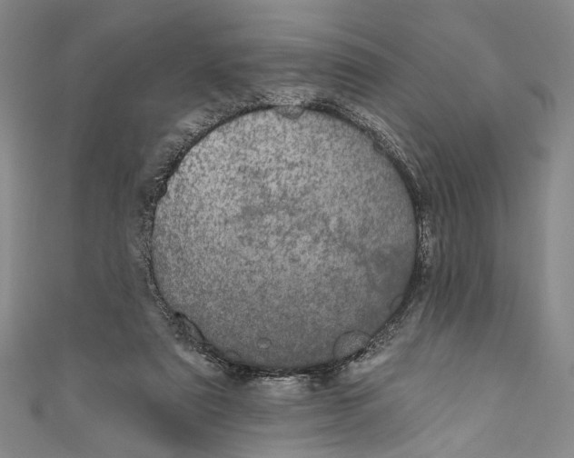 X0000110960307200907101333