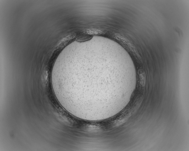 X0000110960308200907101333