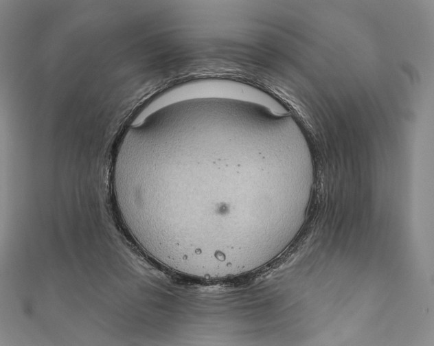 X0000110960309200907101333