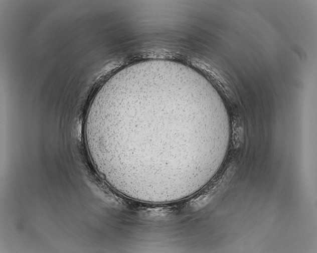 X0000110960310200907101333