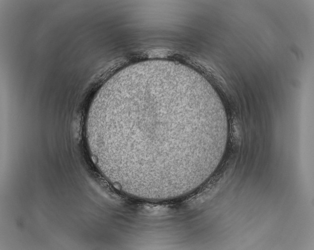 X0000110960311200907101333