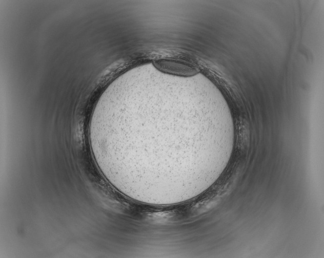 X0000110960312200907101333