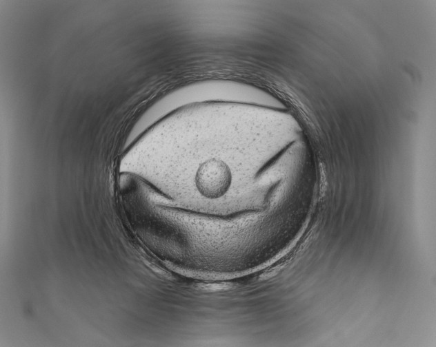 X0000110960313200907101333