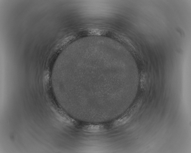 X0000110960314200907101333