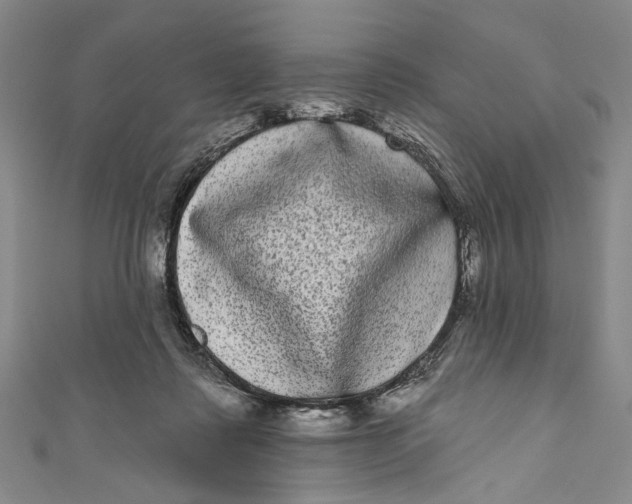 X0000110960315200907101333