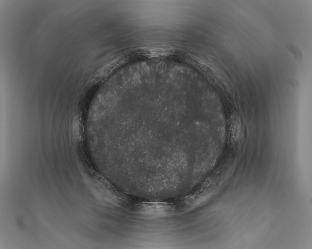 X0000110960316200907101333