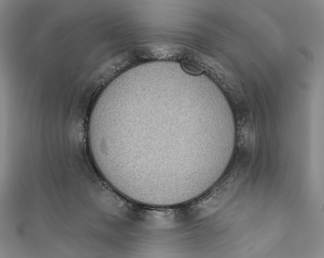 X0000110960317200907101333