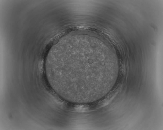 X0000110960319200907101333