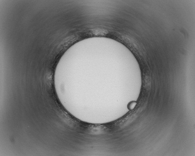 X0000110960321200907101333