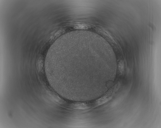 X0000110960322200907101333