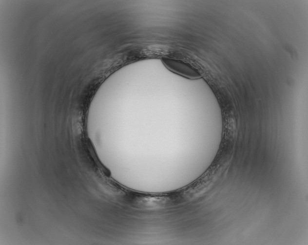 X0000110960323200907101333