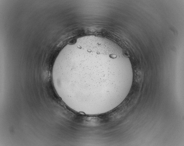 X0000110960324200907101333