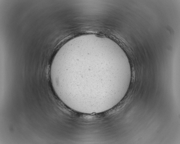 X0000110960325200907101333