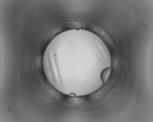 X0000110960326200907101333