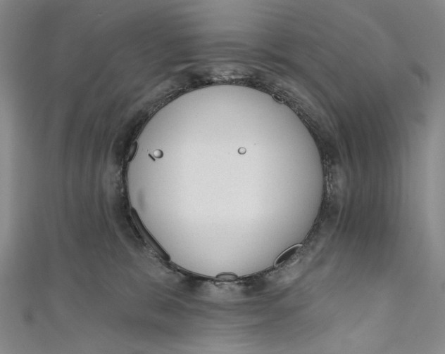 X0000110960327200907101333