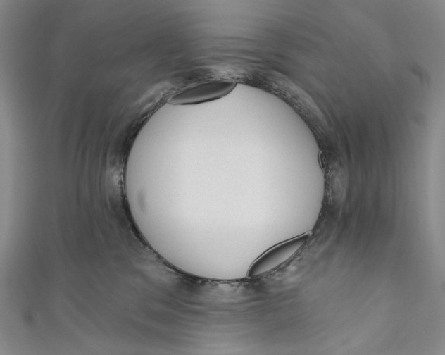 X0000110960329200907101333