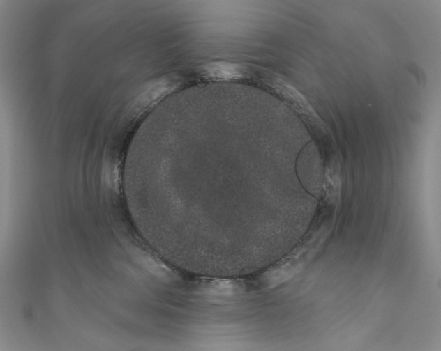 X0000110960330200907101333