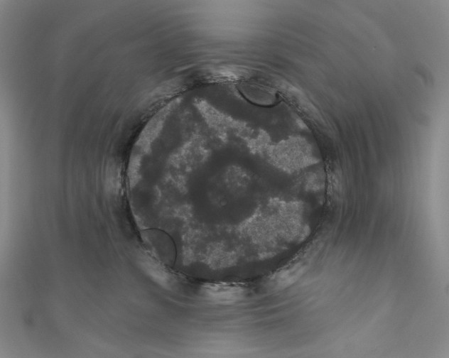 X0000110960331200907101333