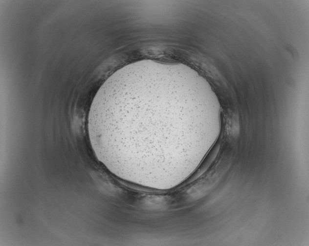 X0000110960332200907101333