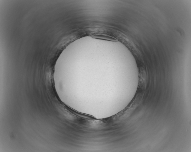 X0000110960333200907101333