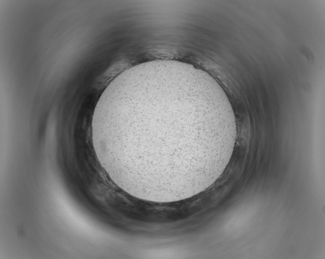 X0000110960334200907101333