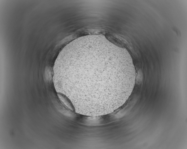 X0000110960335200907101333