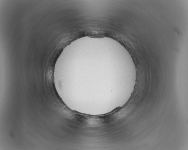 X0000110960336200907101333