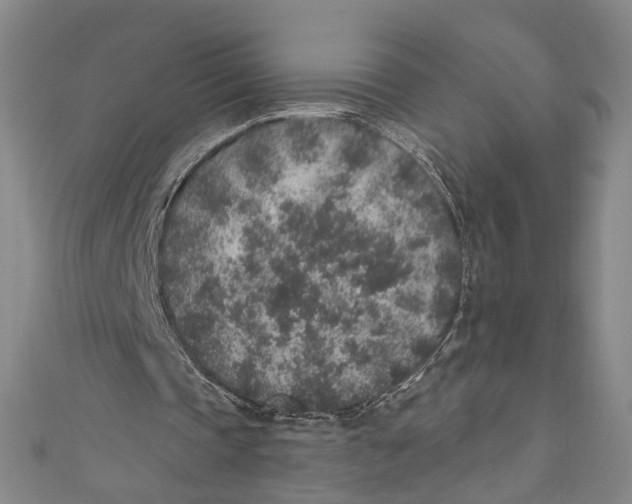 X0000110960337200907101332