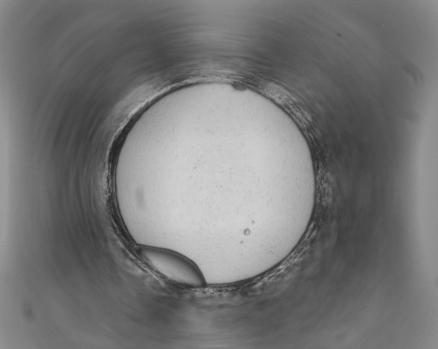 X0000110960338200907101332