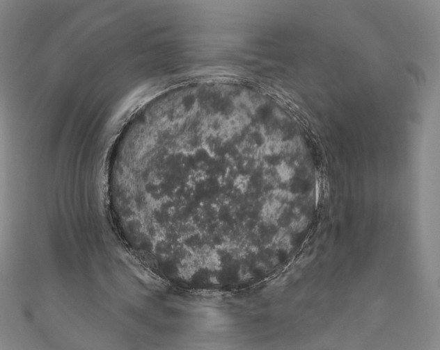 X0000110960339200907101332