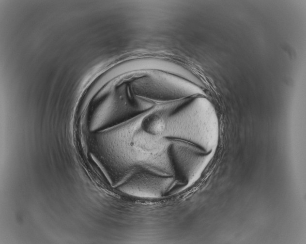 X0000110960340200907101332