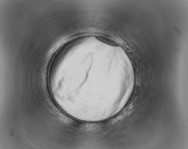 X0000110960341200907101332