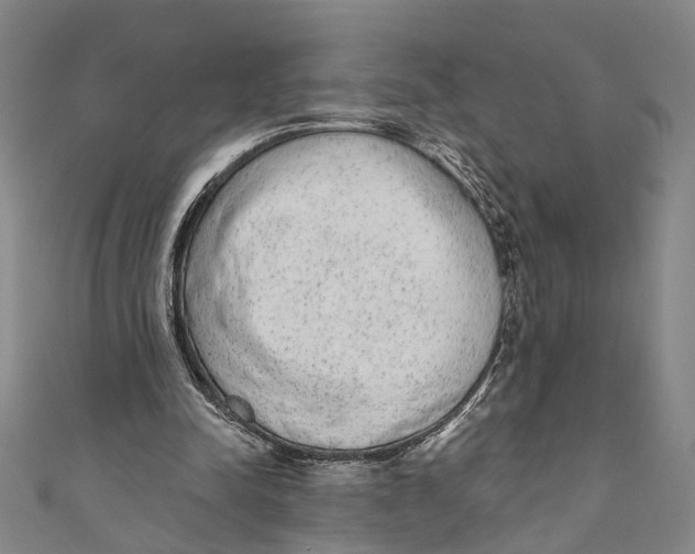 X0000110960342200907101332