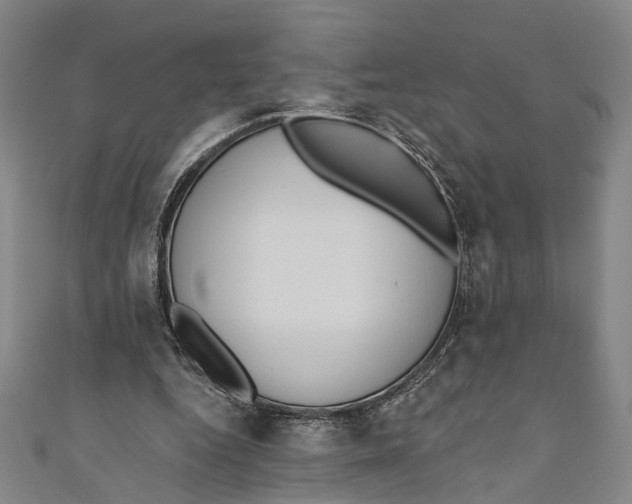 X0000110960344200907101332