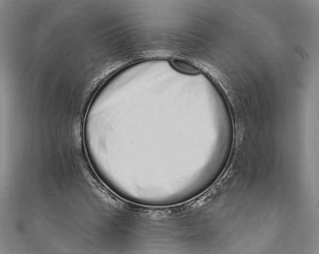 X0000110960345200907101332