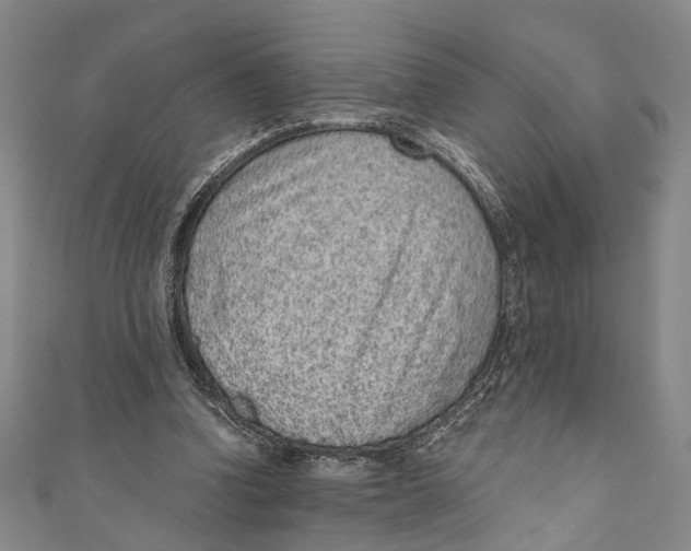 X0000110960346200907101332